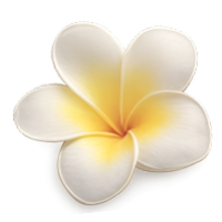 ChatGPT Image 29 ene 2026, 12_03_19 1